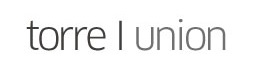 logo adviserit